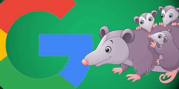 google opossum