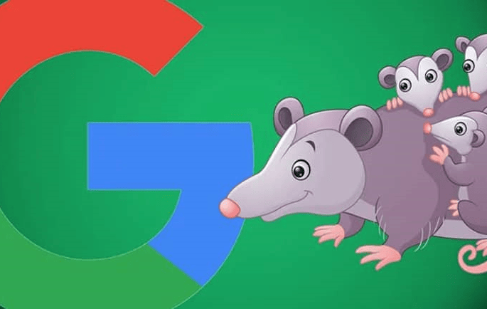 google opossum